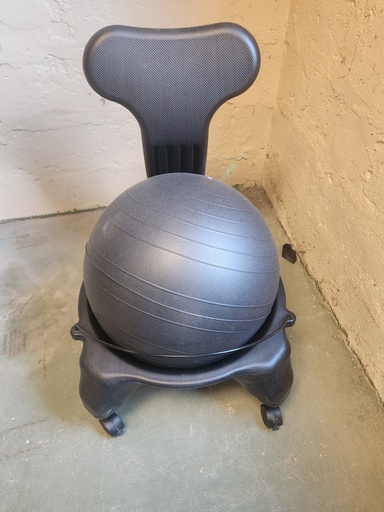 Exercise Ball Office Chair